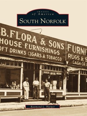 cover image of South Norfolk
